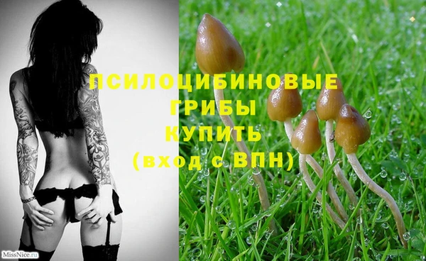 экстази Вязьма