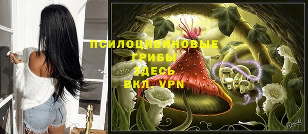 spice Горно-Алтайск