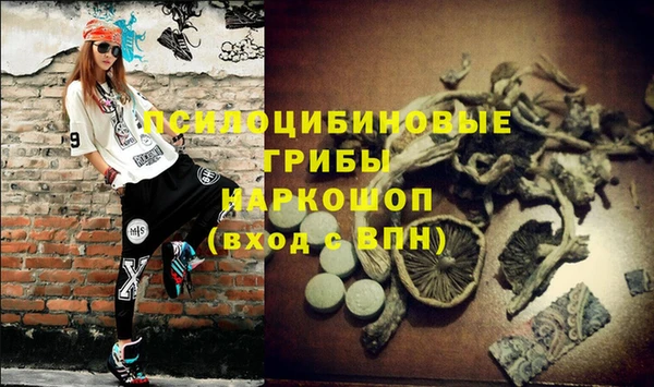 spice Горно-Алтайск