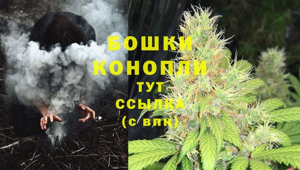 молекула духа Горняк